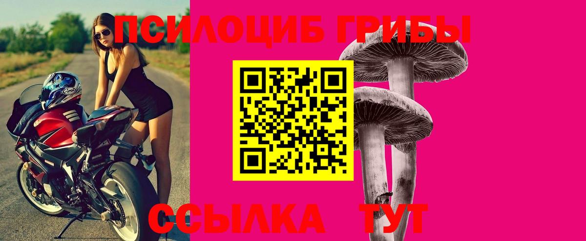 Псилоцибиновые грибы Magic Shrooms Волгоград